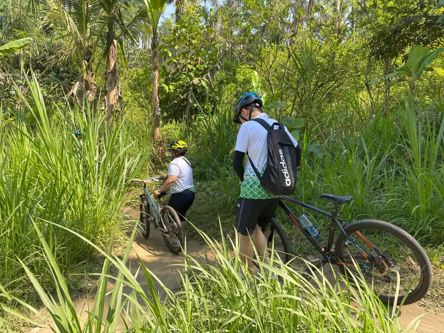 Ubud : PRIVATE Bike Tour inside Rice Field Ubud Countryside - Rice Fields for 80% of the Ride: The Main Reason It Works