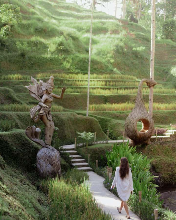 Ubud: Private Hidden Waterfalls and Rice Terrace Tour - Tegenungan (and Blangsinga) Waterfall: your main swim payoff