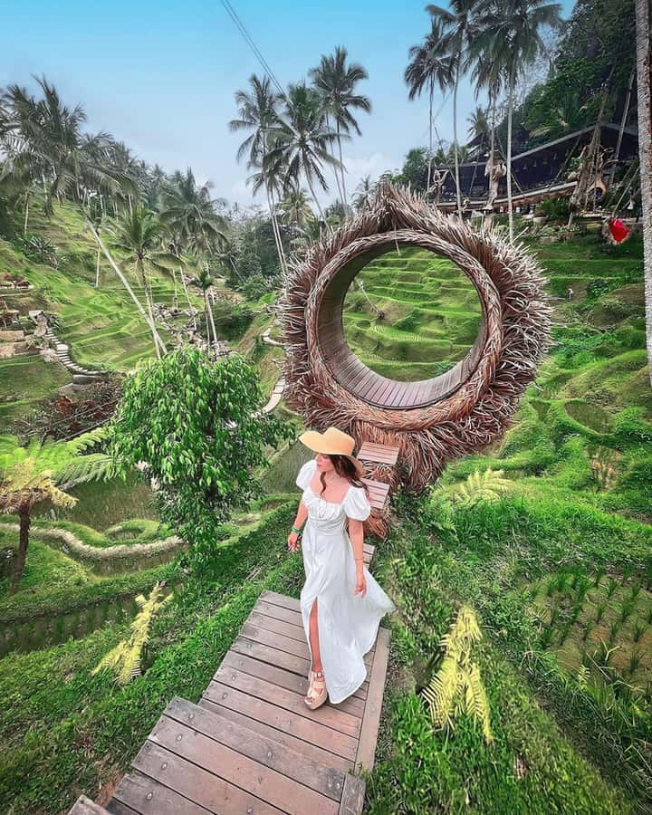Ubud: Private Hidden Waterfalls and Rice Terrace Tour - Price and value: what $29 buys in a private 8-hour day