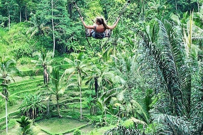 Ubud Private Tour - Price and value: what $100 per person really covers