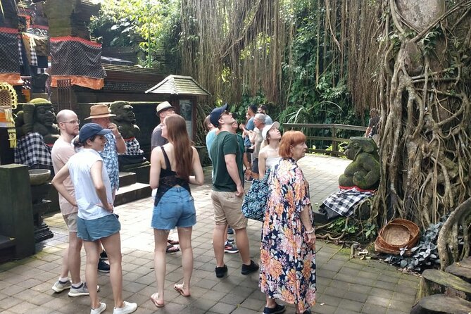 Ubud Private Tour - Pakudui Village rice terraces, river views, and a calmer walk