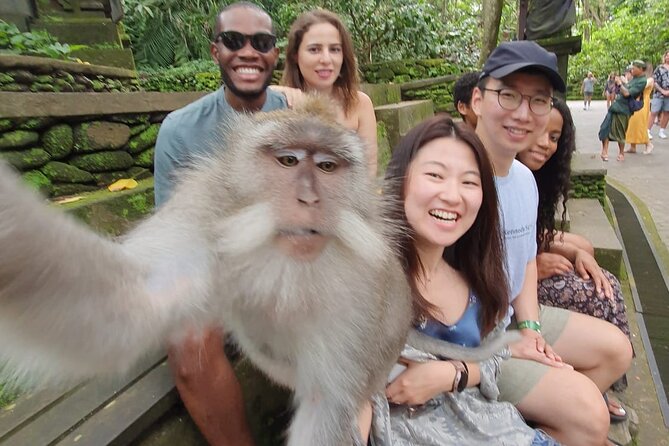 Ubud Private Tour - Kumulilir coffee plantation and the swing stop (Jungle Lust)