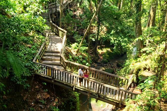 Ubud Private Tour : Best Of Ubud - Guided Tour - Why a Private Best of Ubud Tour Makes Sense