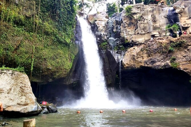 Ubud Private Tour : Best Of Ubud - Guided Tour - d’Alas Swing: Jungle Swing With Real Views