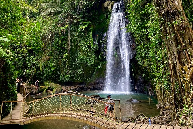 Ubud Private Tour: Monkey Forest, Rice Terrace, Temple, Waterfall - Tegalalang rice terraces: the valley views and the walking pace