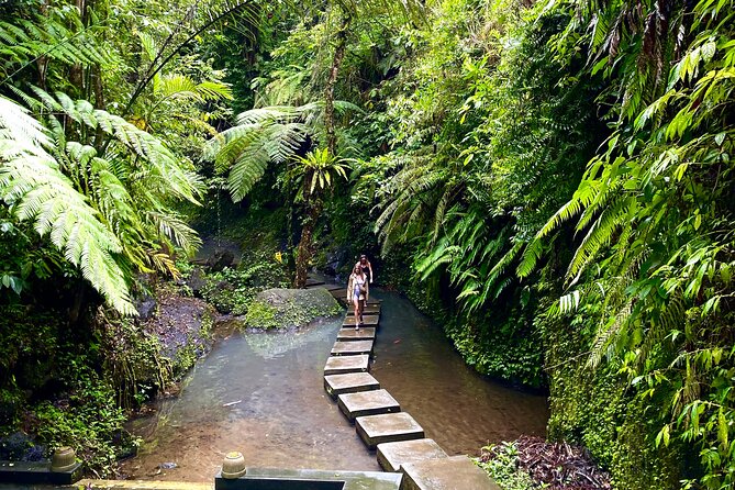 Ubud Private Tour: Monkey Forest, Rice Terrace, Temple, Waterfall - Lunch at Tebasari Resto, Bar and Lounge: break time with jungle views