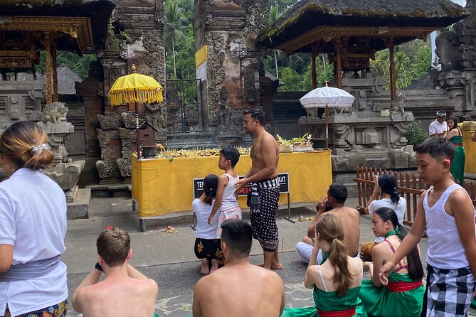 Ubud Private Tour: Monkey Forest, Rice Terrace, Temple, Waterfall - Ulu Petanu Waterfall: photos and a place to actually swim