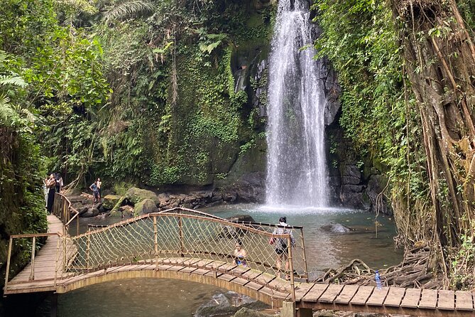 Ubud Private Tour: Monkey Forest, Rice Terrace, Temple, Waterfall - Tirta Empul Temple: holy spring water and wish-granting rituals