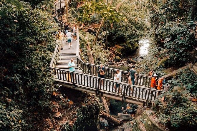 Ubud Private Tour: Monkey Forest, Rice Terrace, Temple, Waterfall - Pickup from Seminyak and how the timing shapes your day
