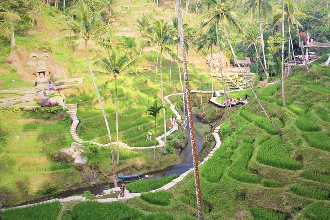 Ubud Private Tour : Ubud Temple and Authentic of Ubud - Stop 5: Sahadewa Barong Dance and Fire Dance performance