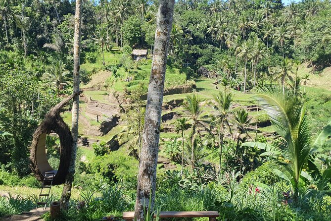 Ubud Private Tour - Stop by stop: what you’ll actually do and what to watch for