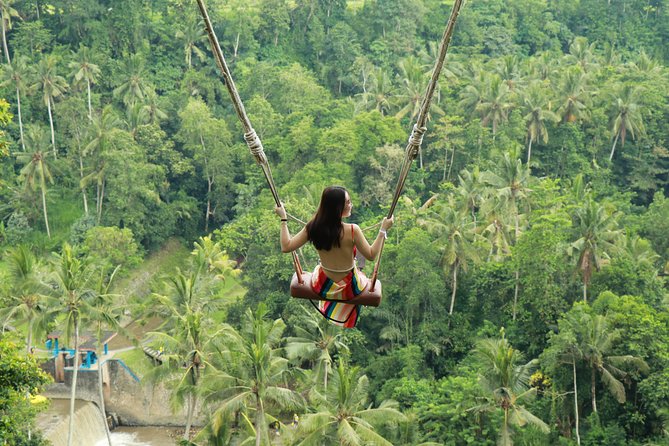 Ubud Private Tours with Jungle Swing Experience - all inclusive - Key Highlights You’ll Feel Right Away