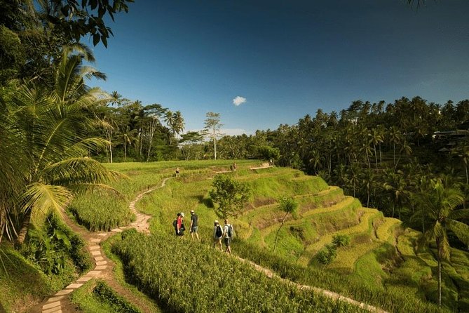 Ubud Rafting - Rice Terrace - Tegenungan Waterfall - Tanah Lot Sunset Temple - Stop 1, Ayung River Rafting: Medium Rapids With Real Water Time
