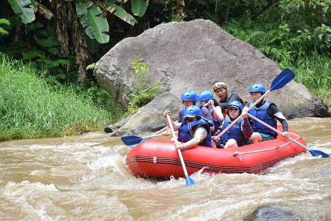 Ubud Rafting - Rice Terrace - Tegenungan Waterfall - Tanah Lot Sunset Temple - Stop 4, Tanah Lot Sunset Temple: The Ocean-Front Finale