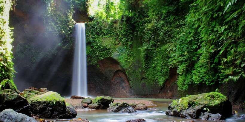 Ubud: Rice Terrace, Holy Water Temple & Waterfalls Trek Tour - Tirta Empul Holy Spring Water Temple: sarongs, rules, and optional participation