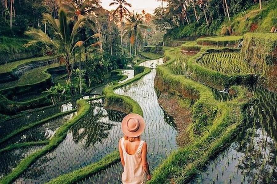 Ubud: Rice Terrace, Waterfall, & Elephant Cave - Goa Gajah (Elephant Cave): The Cliffside Entrance and the Boma Figure
