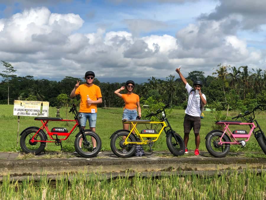 Ubud: Rice Terraces & Villages Half-Day Fat Tire E-Bike Tour - Price and value: what $33 buys in Ubud reality