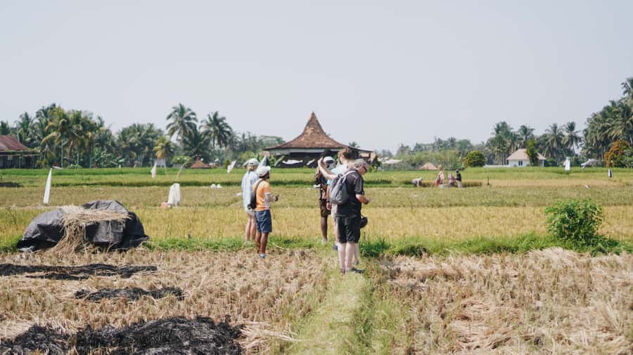 Ubud: Rice Terraces & Villages Half-Day Fat Tire E-Bike Tour - Why Ubud looks different from the seat of a fat tire e-bike