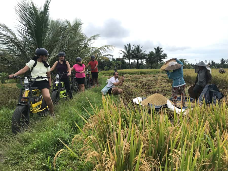 Ubud: Rice Terraces & Villages Half-Day Fat Tire E-Bike Tour - The ride to the rice fields: Jalan Cinta and the feel of farming life