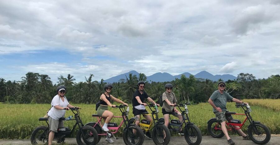 Ubud: Rice Terraces & Villages Half-Day Fat Tire E-Bike Tour - Cekingan Rice Terrace and the subak system you can understand in person