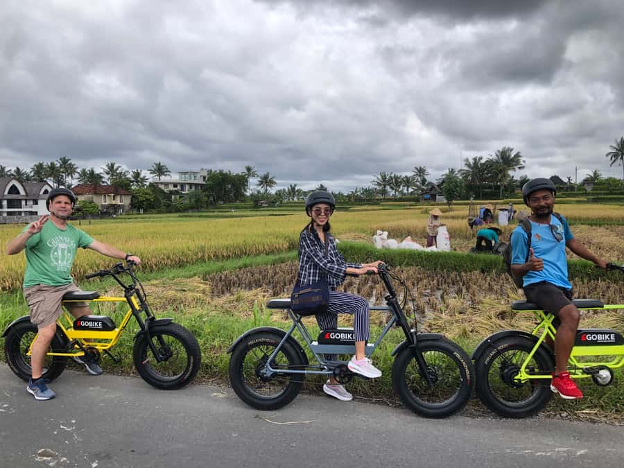 Ubud: Rice Terraces & Villages Half-Day Fat Tire E-Bike Tour - Temples and cultural stops: how the guide turns sights into context
