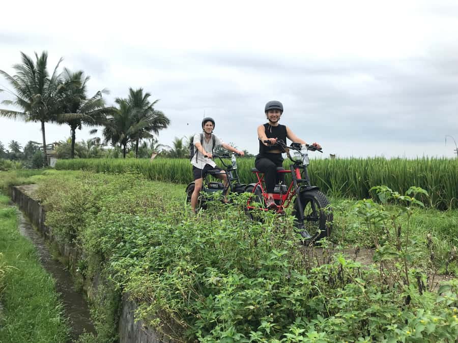 Ubud: Rice Terraces & Villages Half-Day Fat Tire E-Bike Tour - Ubud lunch: how the meal fits the rhythm of the day