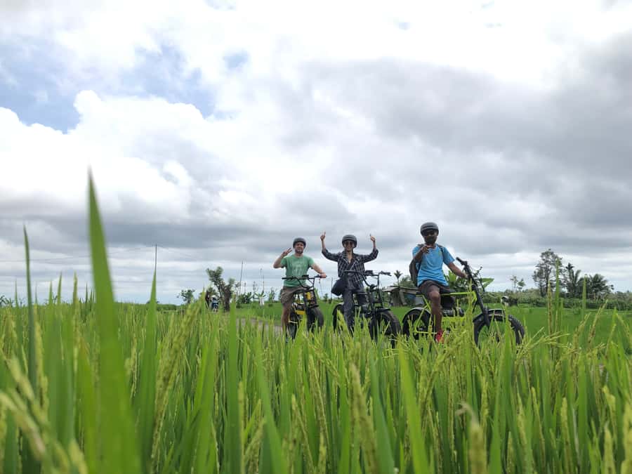 Ubud: Rice Terraces & Villages Half-Day Fat Tire E-Bike Tour - How hard is it really, and how safe does it feel