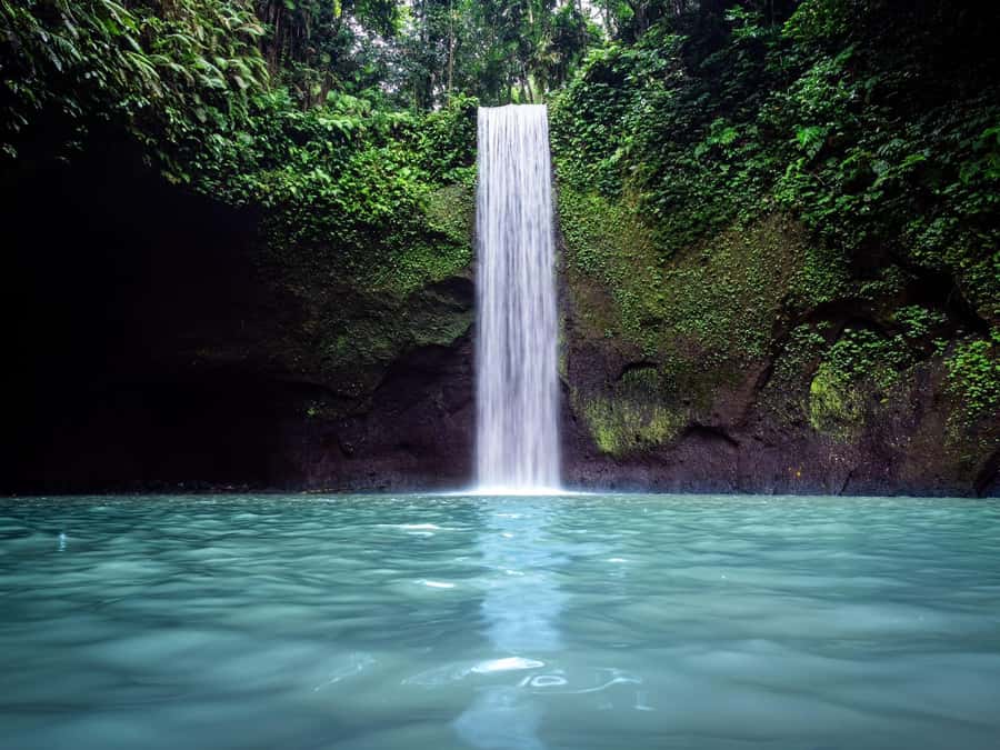 Ubud: Rice Terraces, Water Temple, & Waterfalls Private Tour - Key highlights you should care about