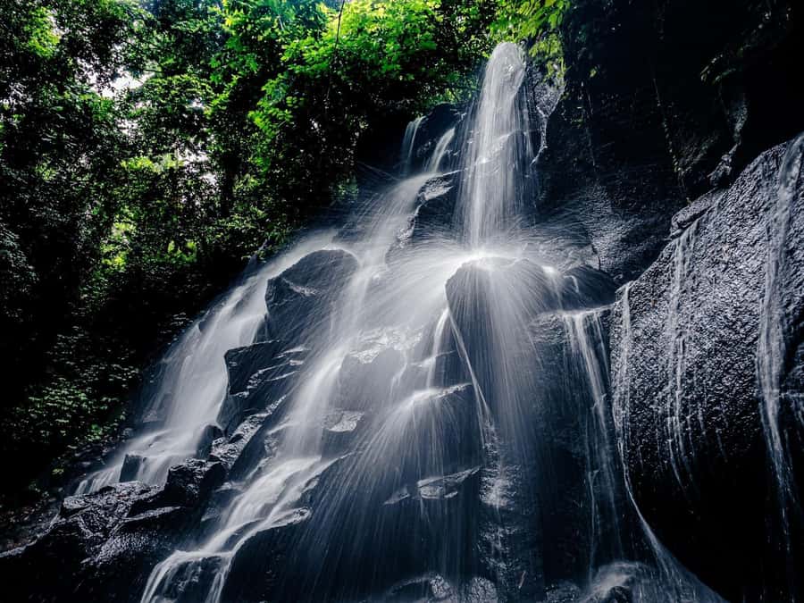 Ubud: Rice Terraces, Water Temple, & Waterfalls Private Tour - Price and value: why $55 can feel fair when tickets add up