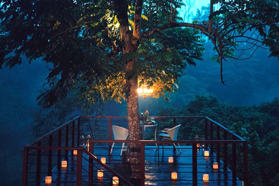 Ubud: Romantic Dinner on a Forest Tree Deck - Key highlights you will care about