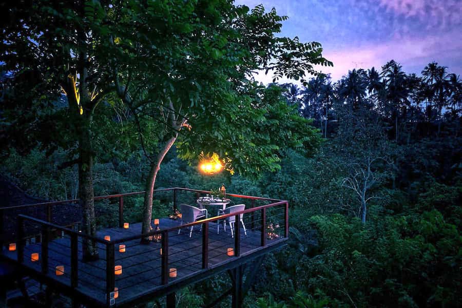 Ubud: Romantic Dinner on a Forest Tree Deck - From pickup to tree deck: how the 3 hours actually feel