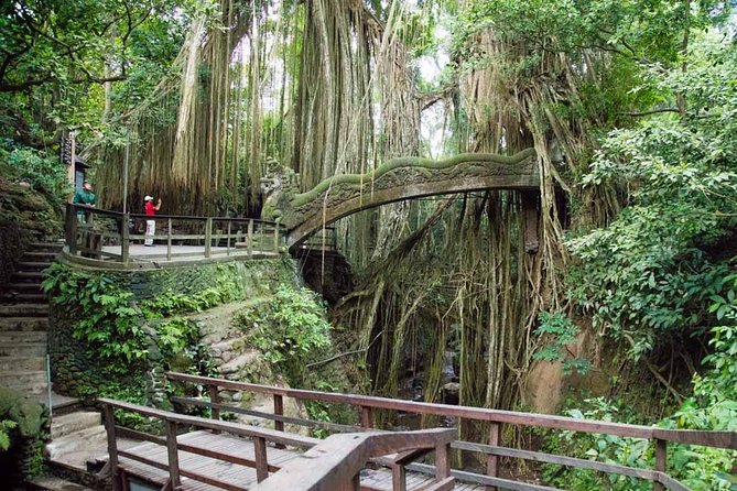 Ubud Sacred Monkey Forest & Art Village Tour - The 9:00 am schedule and how the pace feels