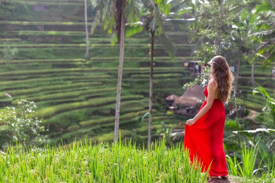 Ubud: Semi-Customized Private Tour with Live Guide - Key highlights you will feel right away