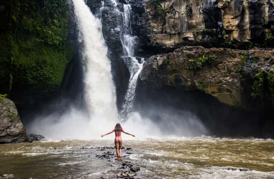 Ubud: Semi-Customized Private Tour with Live Guide - Ubud Market and local culture stops: shopping that feels like a mission, not a chore