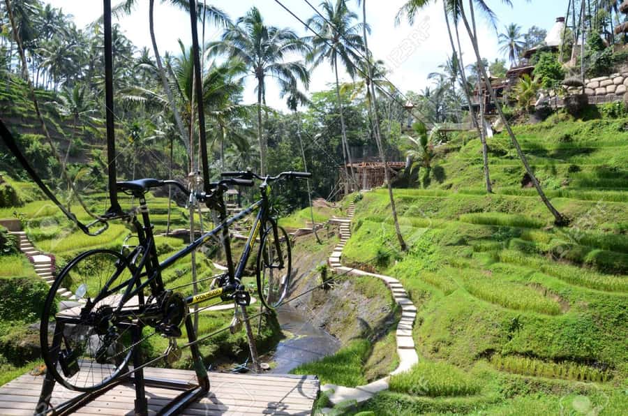 Ubud: Sky Bike Adventure, Swing & Rice Terrace with Transfer - Ubud Sky Bike and Swing, with the rice terrace built into the day