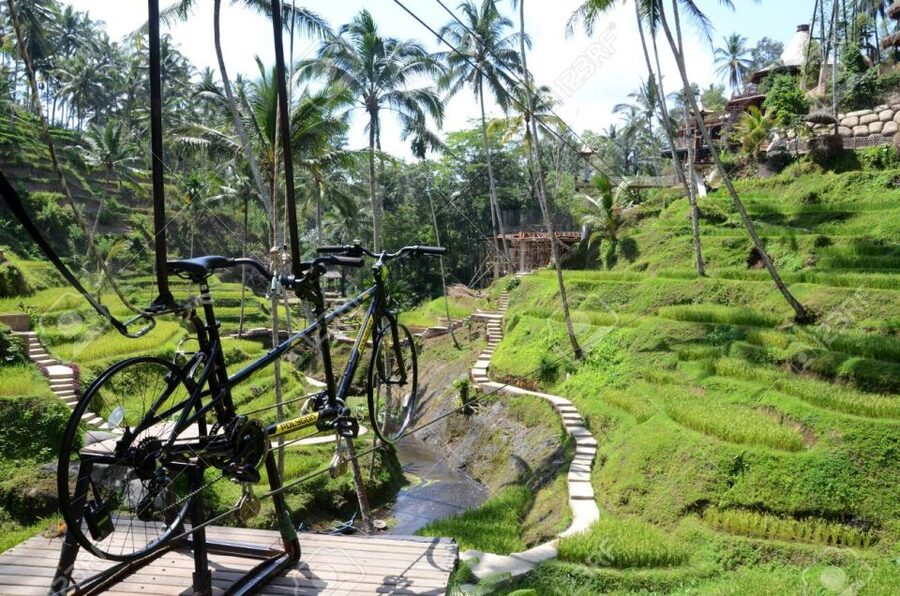 Ubud: Sky Bike Adventure, Swing & Rice Terrace with Transfer - What the $18 price really means for value