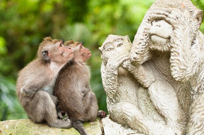 Ubud Small Group Tour: Monkey Forest, Tegalalang Rice Terraces and more - Key things that make this Ubud tour work