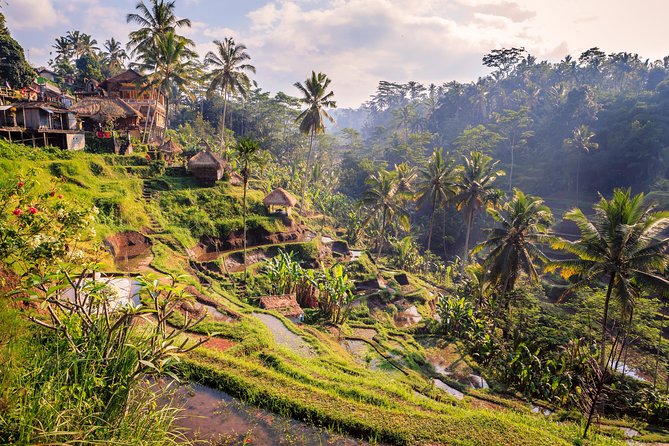 Ubud Small Group Tour: Monkey Forest, Tegalalang Rice Terraces and more - Tegalalang Rice Terraces: classic views and optional swing time