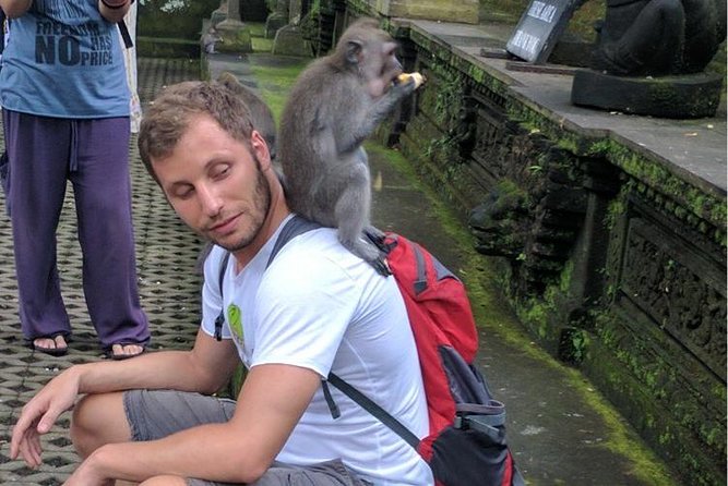 Ubud Small Group Tour: Monkey Forest, Tegalalang Rice Terraces and more - Who this tour is best for (and who might want a different pace)