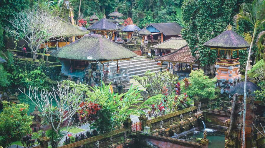 Ubud: Spectacular Waterfalls Tour - Tukad Cepung: Walking Through the Jungle to Find the Waterfall