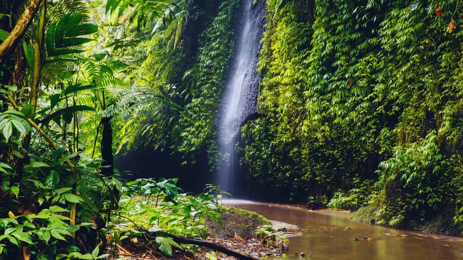 Ubud: Spectacular Waterfalls Tour - Price and Value: What $27 Covers in Real Terms