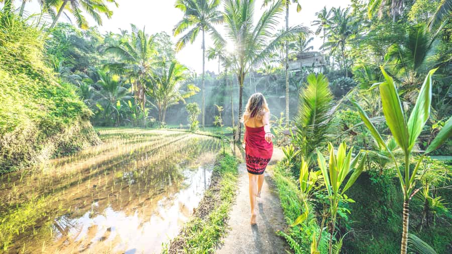 Ubud: Spectacular Waterfalls Tour - Rain Strategy: This Tour Keeps Going, With Umbrellas
