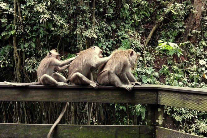 Ubud Surounding Tour - Tirta Empul holy spring: purification fountains and temple etiquette