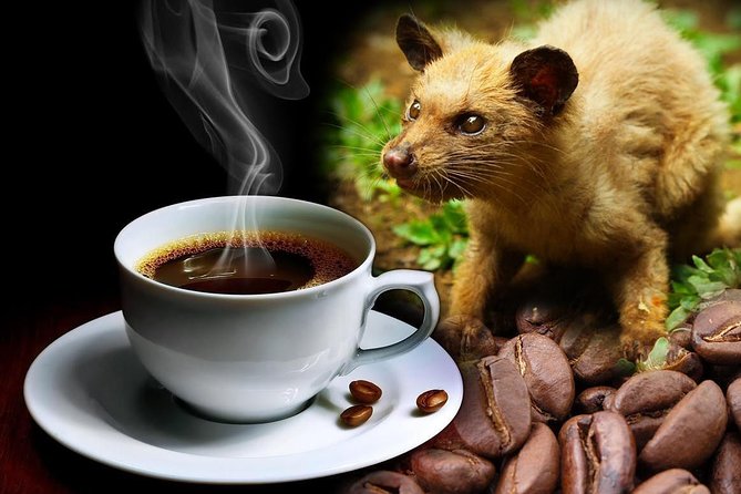 Ubud Surounding Tour - Segara Windhu coffee plantations and the luwak coffee story