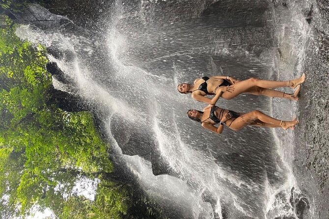 Ubud Surounding Tour - Price and value: why $63 can feel fair on a tour like this