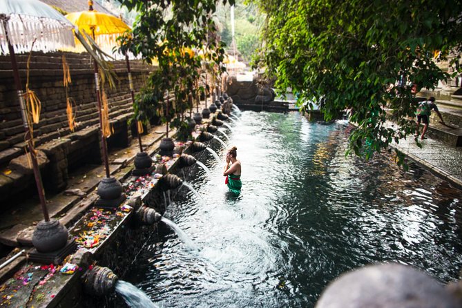 Ubud Surounding Tour - Sacred Monkey Forest Sanctuary: seeing Bali through fur and folklore
