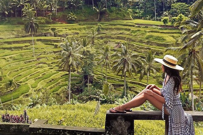 Ubud: Swing - Monkey Forest - Waterfall - Temple - Rice Terraces - Art Crafts - Tegalalang rice terraces: the walk that rewards your patience