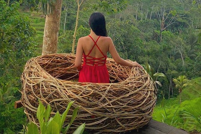Ubud: Swing - Monkey Forest - Waterfall - Temple - Rice Terraces - Art Crafts - Sacred Monkey Forest Sanctuary: fun wildlife, plus real rules