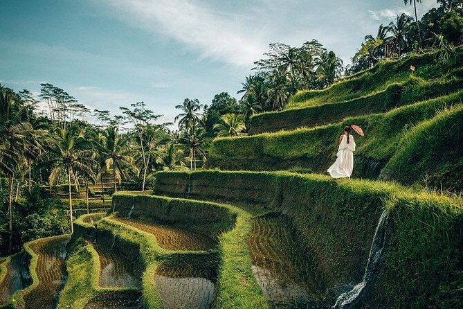 Ubud: Swing - Monkey Forest - Waterfall - Temple - Rice Terraces - Art Crafts - Tegenungan Waterfall: jungle views with a choice to get closer