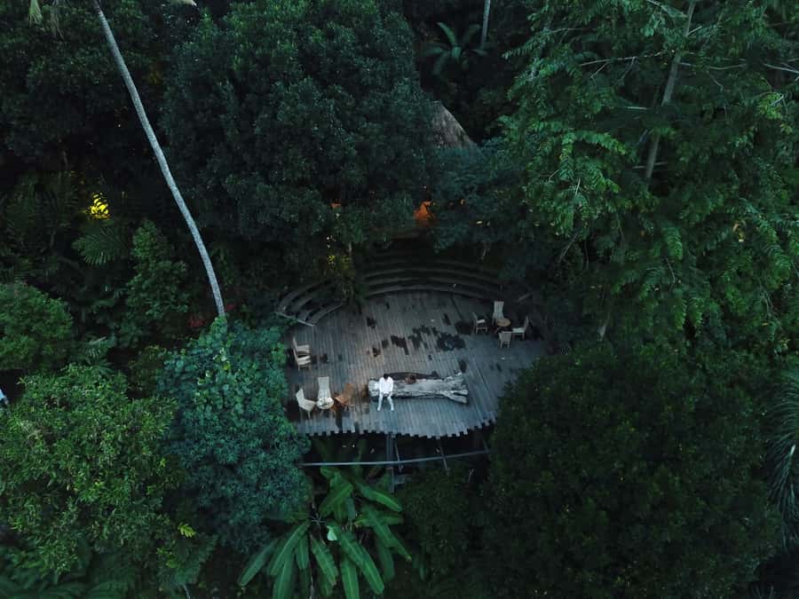 Ubud: Tegalalang Rice Terrace Photos Tour with Swing Ticket - Quick hits you should know before you go